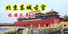 性感大奶子美女自慰扣逼中国北京-东城古宫旅游风景区
